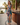 Lily One Piece Swimsuit Set