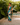 Blossom Long Length Skirt