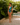 Blossom One Piece Swimsuit Set