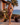 Hawaii Bikini Set with Skirt